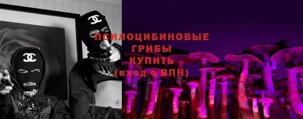 прущая мука Горно-Алтайск