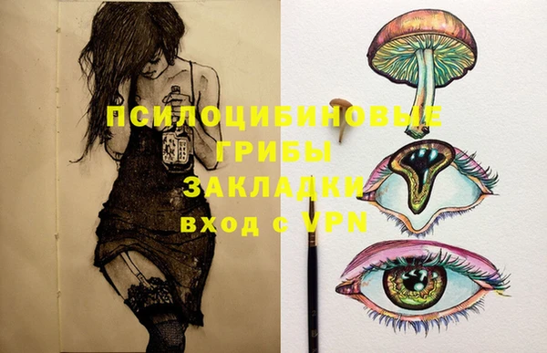 прущая мука Горно-Алтайск