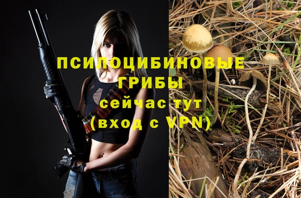 2c-b Горнозаводск