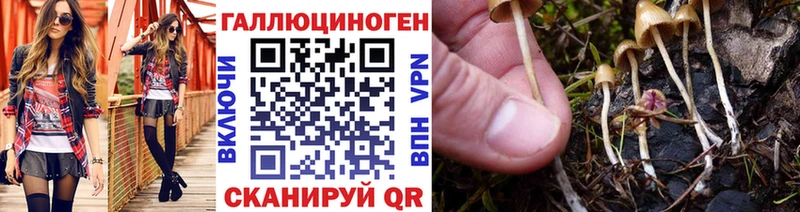 Галлюциногенные грибы Cubensis  Купить где  Салаир 